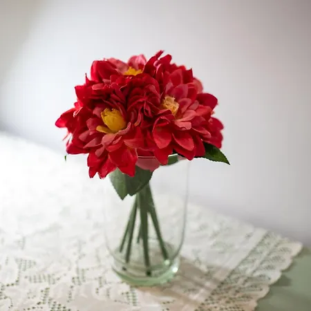 Josephine - Bed & Breakfast Caserta